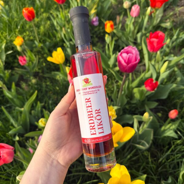 Erdbeer Likör