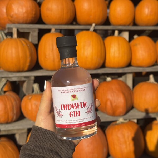 Erdbeer-Gin