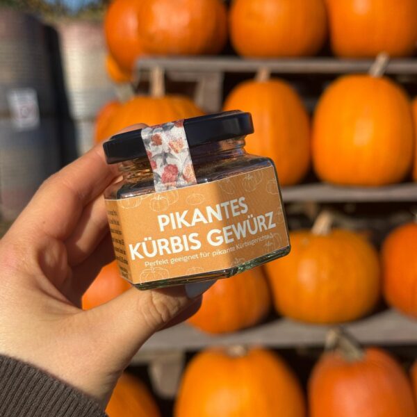 Pikantes Kürbisgewürz