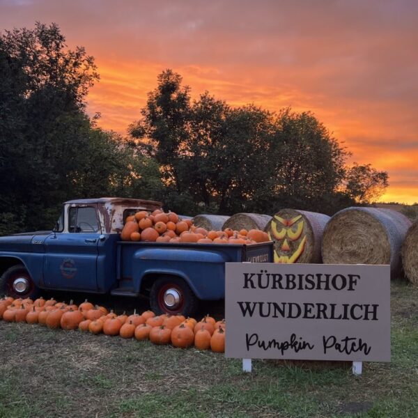 Saisonkarte — Kürbishof Wunderlich