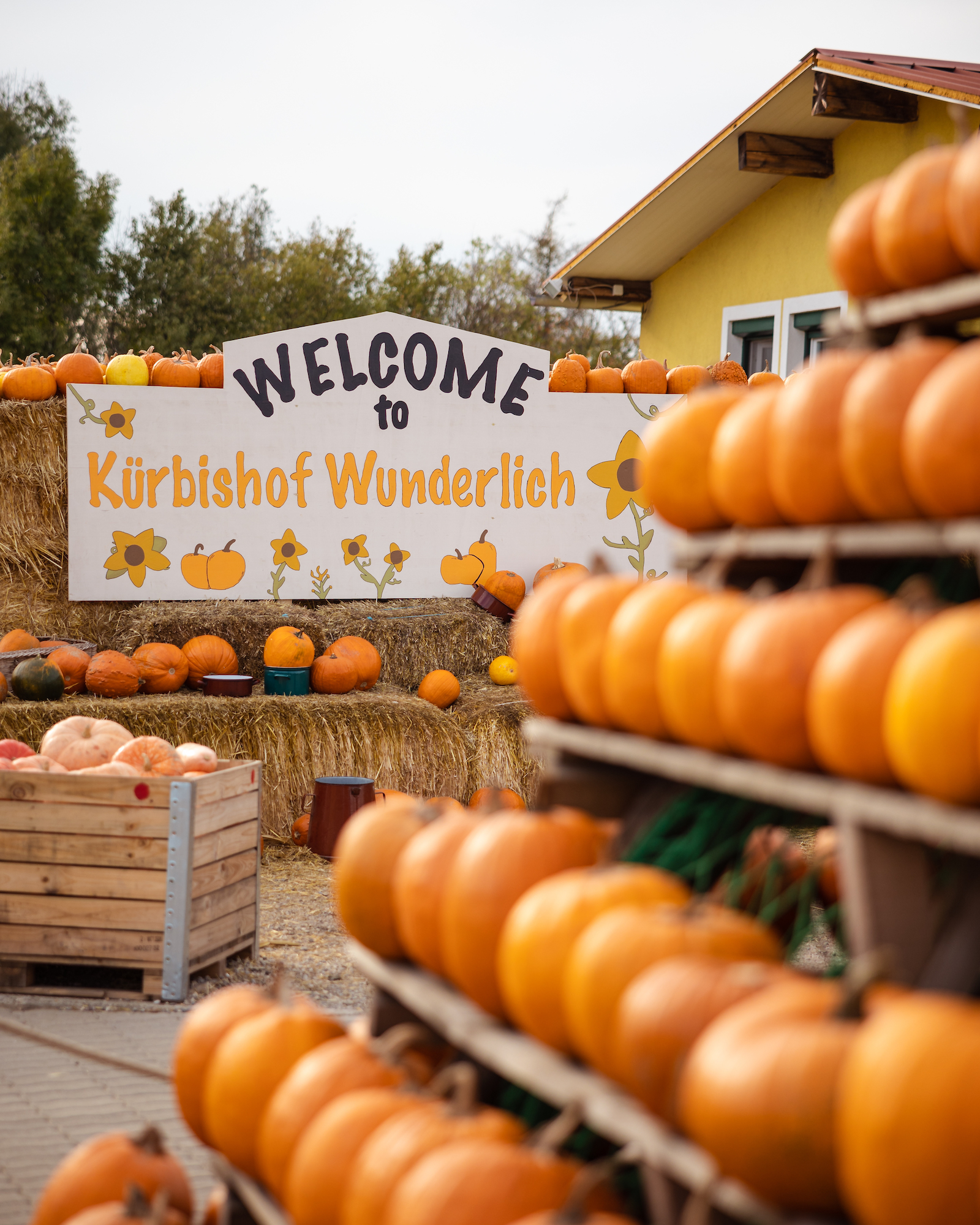 Kürbishof Wunderlich