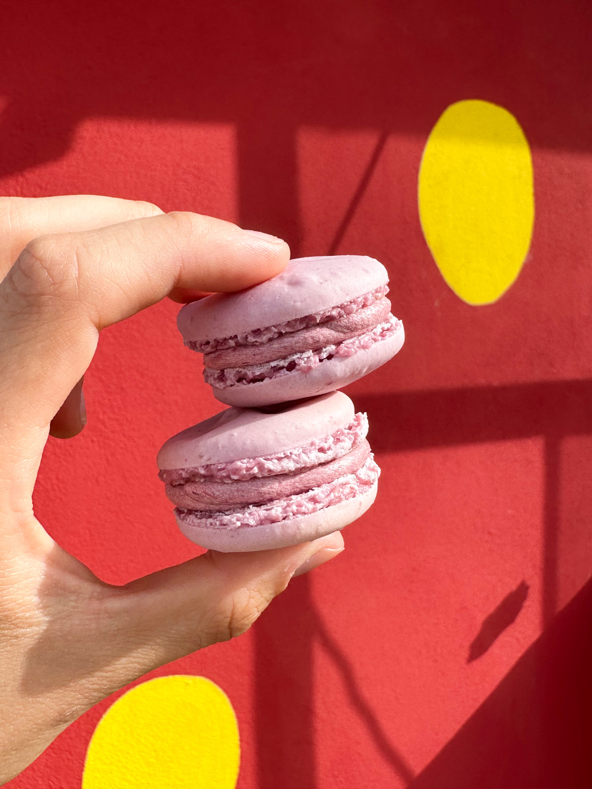 Erdbeer-Macarons