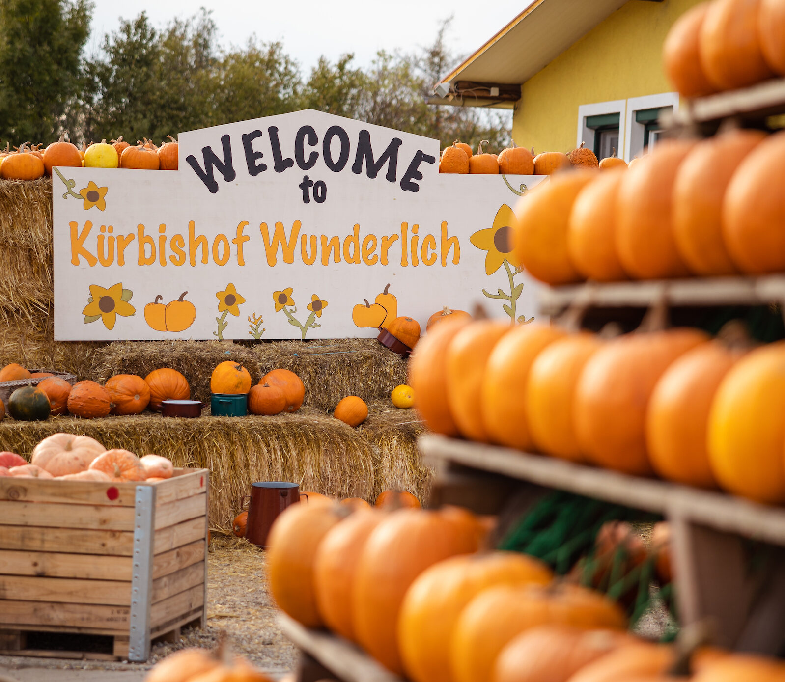 Kürbishof Wunderlich